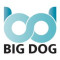 BIG DOG