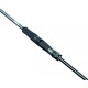 Καλάμι Ψαρέματος DAIWA 25 EXCELER 2.59mt 10-40gr 