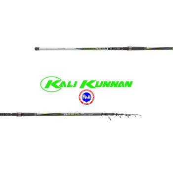 Καλάμι Ψαρέματος SURFCASTING BESTLA KALI KUNNAN 4.20mt 100-200gr