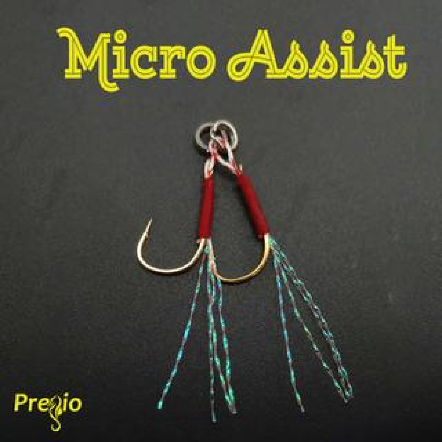 MICRO ASSIST PREGIO 25-005 (2 TEM.)