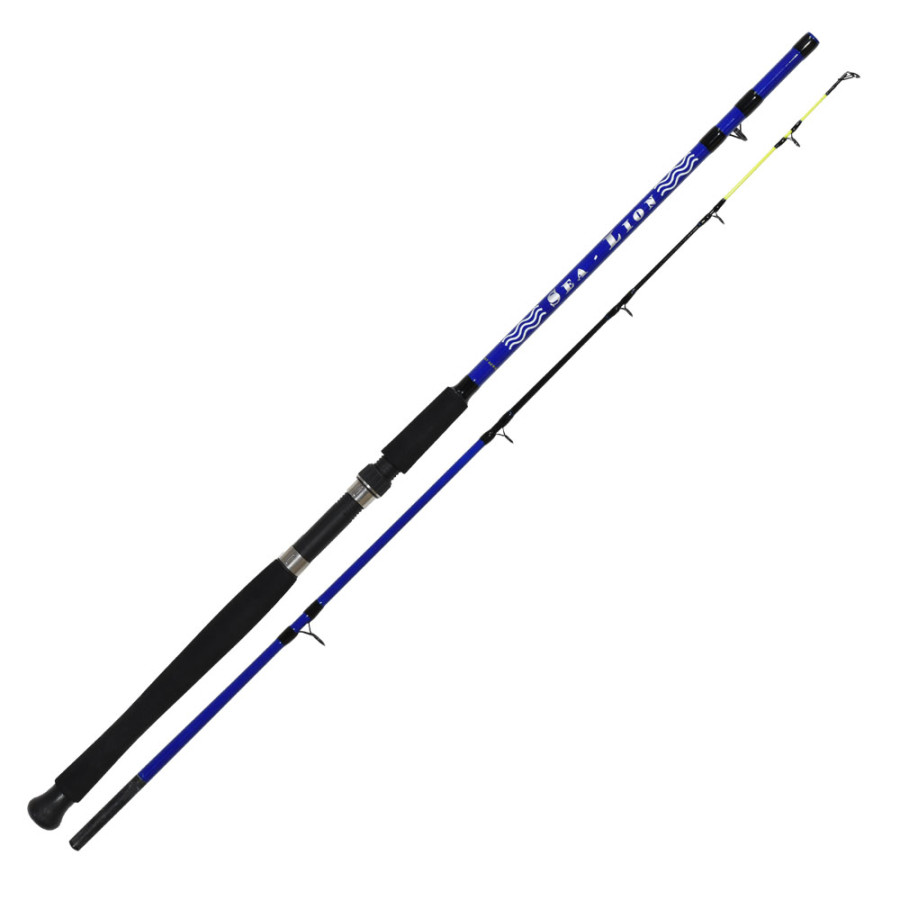 Καλάμι Ψαρέματος SIM SEA LION 1.80M / 100-350GR 