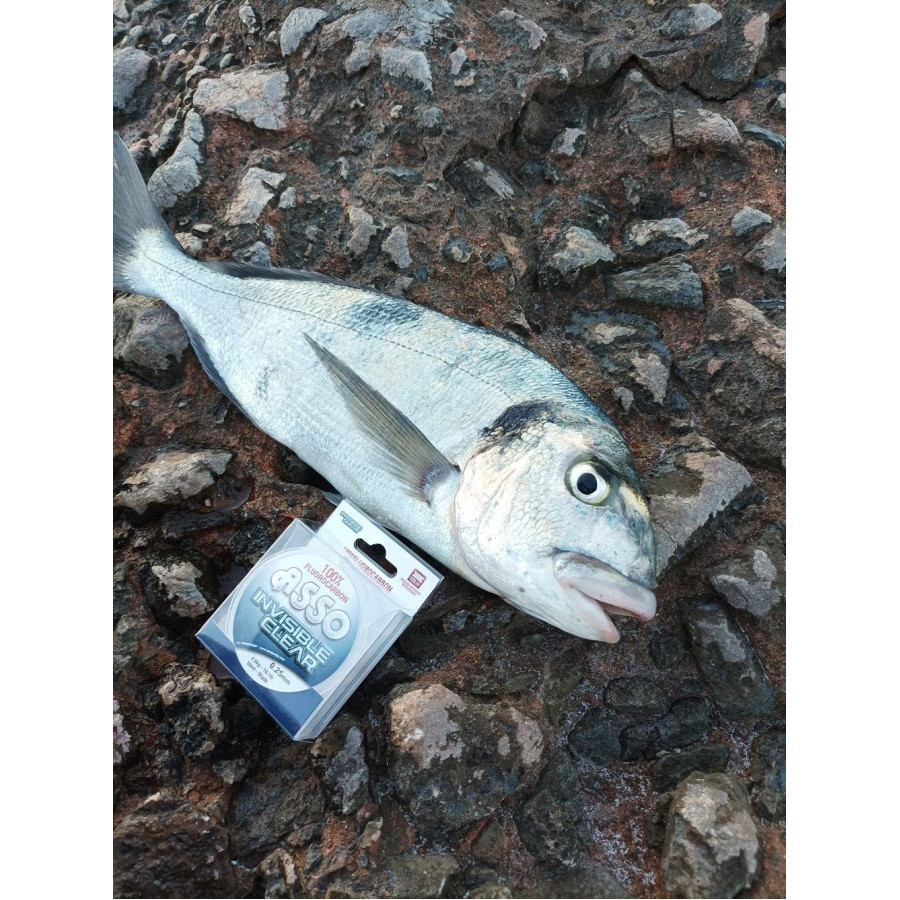 Πετονιά ASSO INVISIBLE CLEAR FLUOROCARBON 50mt