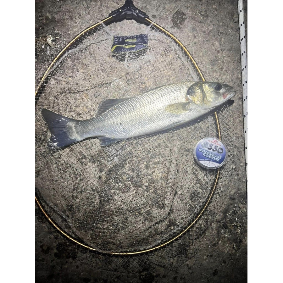Πετονιά ASSO INVISIBLE CLEAR FLUOROCARBON 50mt