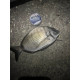 Πετονιά ASSO INVISIBLE CLEAR FLUOROCARBON 50mt