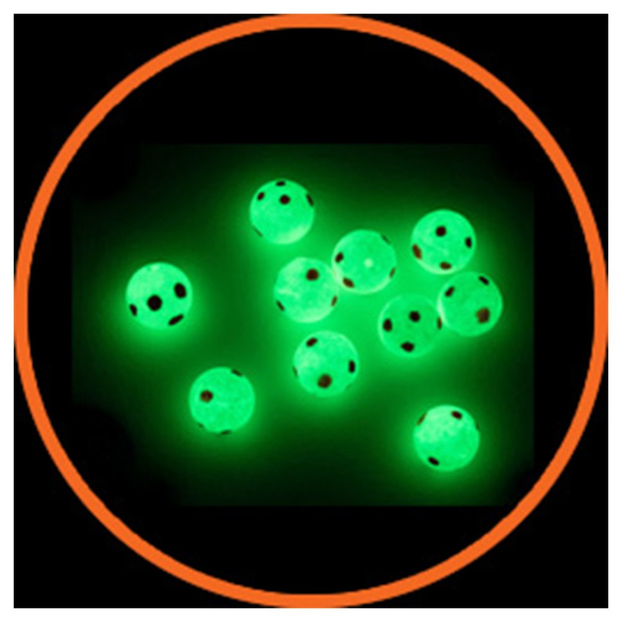 INOVA GLOW IN THE DARK LADY BIRD BEADS