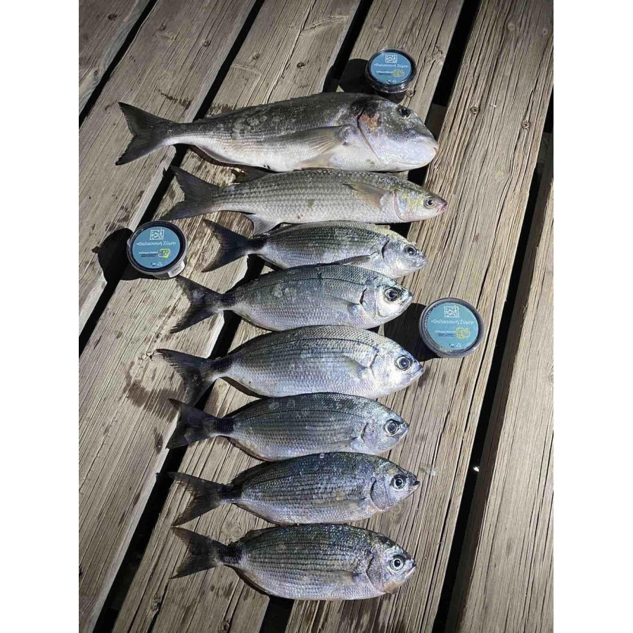 ΘΑΛΑΣΣΙΝΗ ΖΥΜΗ ΕΤΟΙΜΗ ΠΡΟΣ ΧΡΗΣΗ 2oz / 57 gr