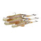 Σιλικόνη SAVAGE GEAR SWIMSQUID RTF 25CM / 160G
