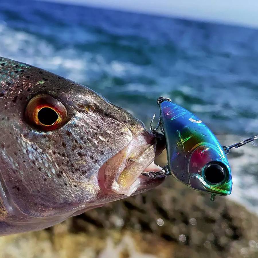 NERD FISHING KOTSIRUYN HYBRID LURE 4CM / 6GR