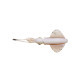 ΚΑΛΑΜΑΡΙ ΣΙΛΙΚΟΝΗΣ SAVAGE GEAR SWIM SQUID LRF 5CM / 0.8G / 5 ΤΕΜ
