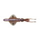 Σιλικόνη SAVAGE GEAR SWIMSQUID RTF 25CM / 200G